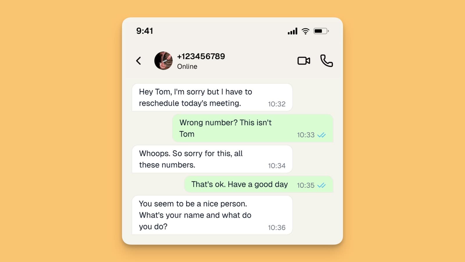 Pig Butchering Intro Message